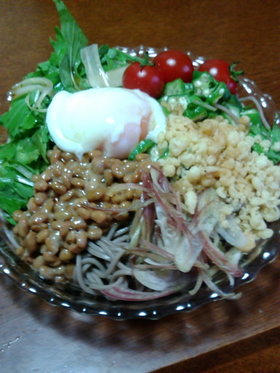 冷やし納豆たぬきサラダそば★