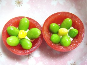 ばったもんプチトマトのお花☆彡