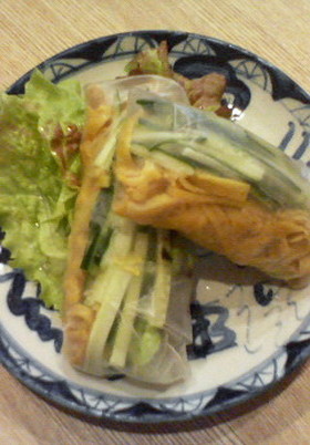 棒々鶏風・生春巻き