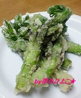 簡単!素朴で美味しい山ウドの芽のテンプラ