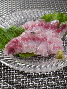 出刃がなくても魚を捌こう!タカベの刺身編