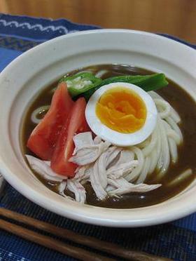 カレーHALF冷やしぶっかけうどん