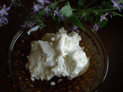 ココナッツミルクアイスクリームの写真