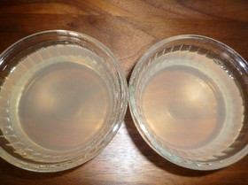 梅酒で大人のぷるんぜりー☆カロリーオフ