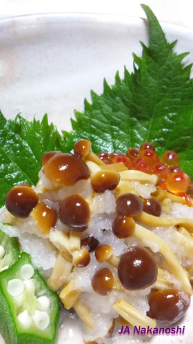 かきの木茸のおろし和え