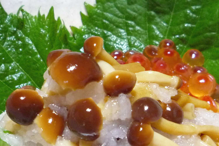 かきの木茸のおろし和え レシピ 作り方 By Janakanoshi クックパッド 簡単おいしいみんなのレシピが360万品