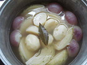 野菜のスープ煮