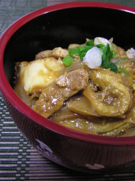 焼き茄子絹揚げ豚カルビの カレー丼^^♪