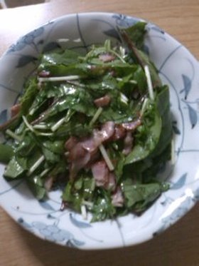 サラダほうれん草を使って