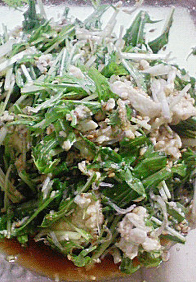 シャキトロ！水菜と豆腐の簡単サラダの写真
