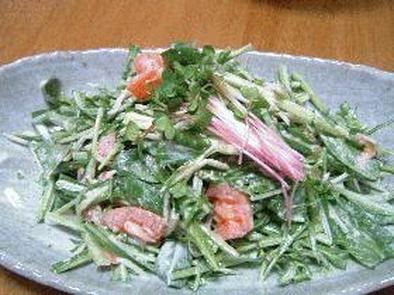 シャキシャキ水菜サラダの写真