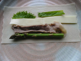 アスパラ 焼き春巻き