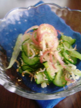 じゃこのサワー漬けで夏の和えもの