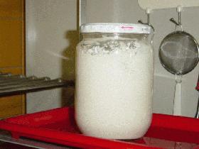 Sourdough Starter☆サワードゥスターター