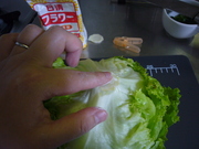 長持ち!レタスの保存の写真