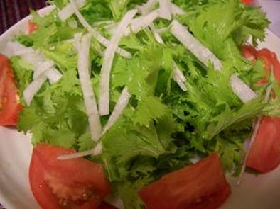 わさび菜とダイコン、トマトのサラダの写真