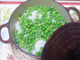 ○○○○○を豆ゴハンぅ○○○○○