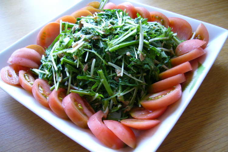 生で食べられるなんて 春菊と水菜のサラダ レシピ 作り方 By Jinori クックパッド 簡単おいしいみんなのレシピが357万品