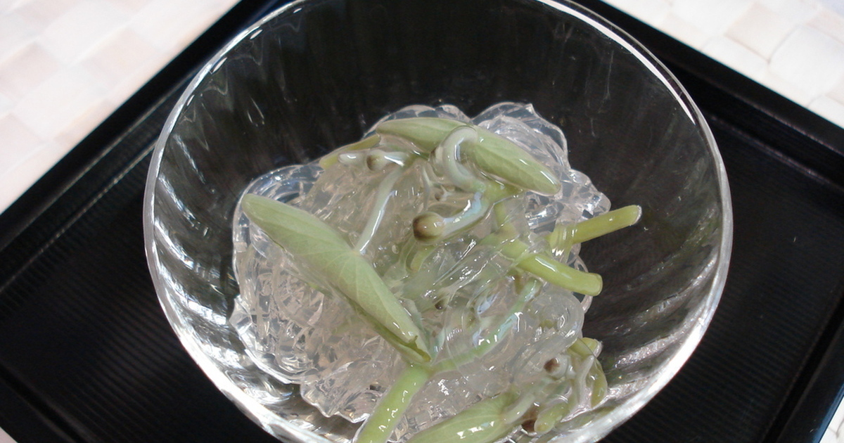 じゅんさいのゆがき方 レシピ 作り方 By ぼのつま クックパッド 簡単おいしいみんなのレシピが361万品