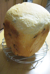ゆっくり発酵パン　パネトーネマザー酵母