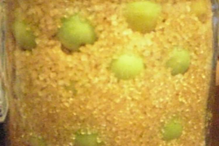 ザラメで 梅シロップ レシピ 作り方 By みんちゃん５８ クックパッド