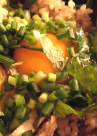 薄揚げと大葉とめんつゆの卵ご飯