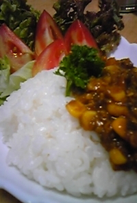 節約☆高野豆腐と野菜たっぷりドライカレー