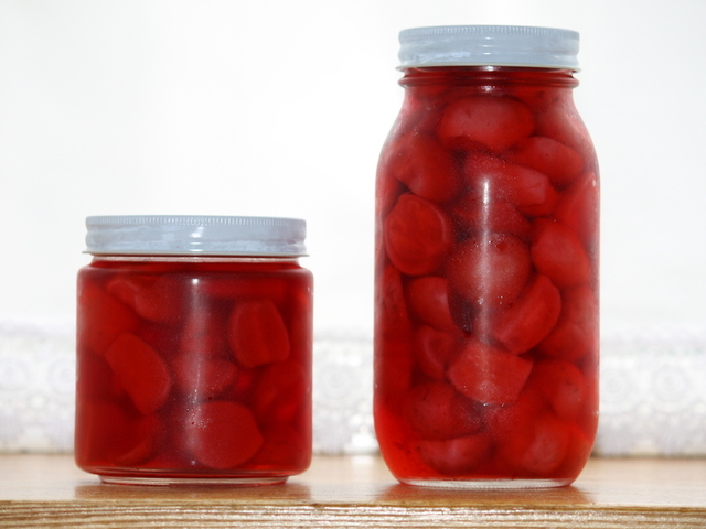 ラディッシュの酢漬け レシピ 作り方 By スカビオサ クックパッド 簡単おいしいみんなのレシピが350万品