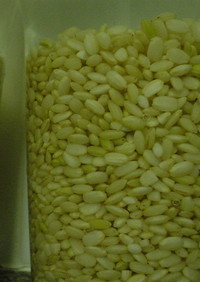 手作り発芽玄米