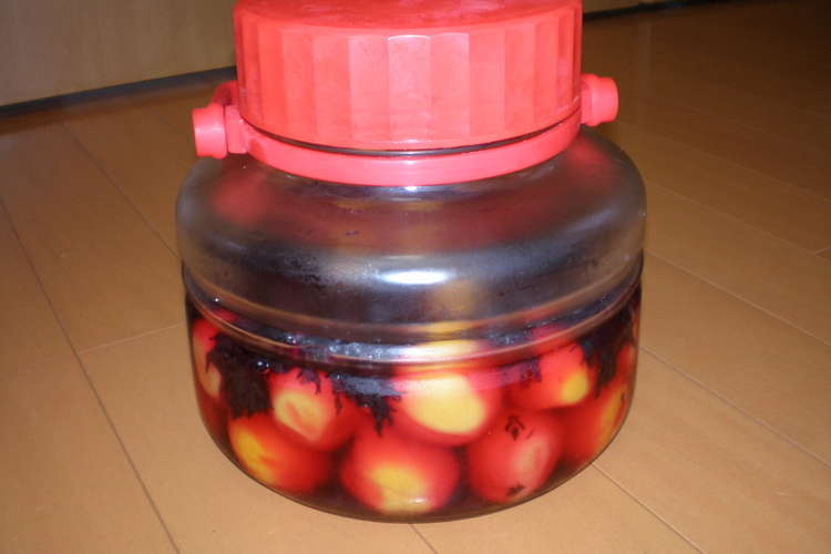 冷蔵庫で梅干し作り 紫蘇入 レシピ 作り方 By ゆきんこ きっちん クックパッド 簡単おいしいみんなのレシピが358万品