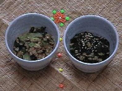 納豆×野菜！の写真