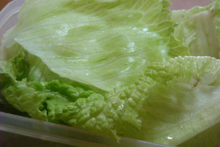 ササッと水にさらさずシャキッとレタス レシピ 作り方 By エムたん クックパッド 簡単おいしいみんなのレシピが351万品