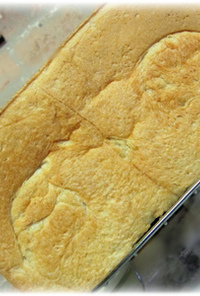 フープロでホシノ天然酵母の黒糖角食パン
