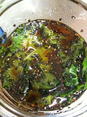 万能 保存が効く大葉のゴマ油&醤油漬け