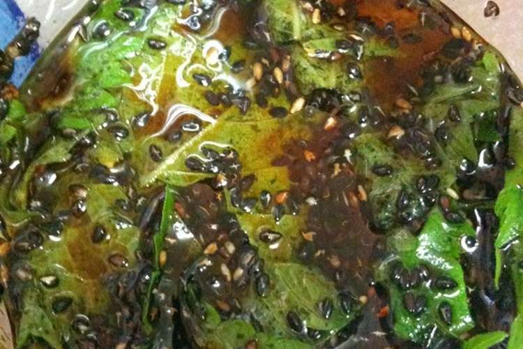 万能 保存が効く大葉のゴマ油 醤油漬け レシピ 作り方 By コリデール クックパッド