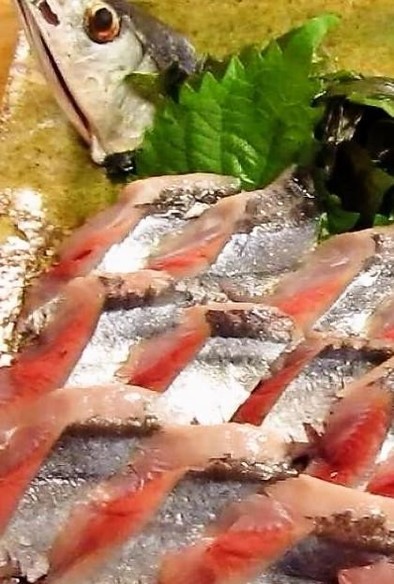 海鮮！秋刀魚の刺身(秋刀魚の捌き方)の写真