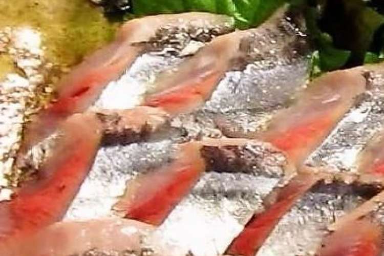 海鮮 秋刀魚の刺身 秋刀魚の捌き方 レシピ 作り方 By クッキングsパパ クックパッド