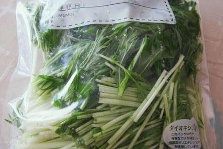 水菜の冷凍保存 レシピ 作り方 By まねきねこにゃん クックパッド 簡単おいしいみんなのレシピが376万品