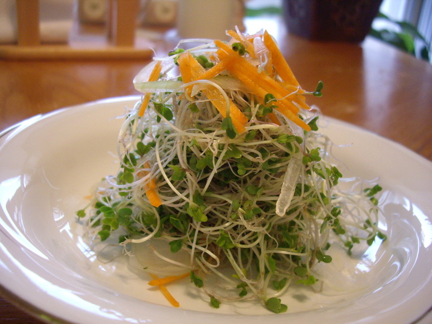 インドのスプラウトサラダのレシピ