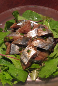 秋刀魚のバルサミコ風カルパッチョ