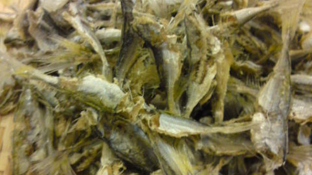 自家製 小アジの苦くない煮干し レシピ 作り方 By 武茶志 クックパッド 簡単おいしいみんなのレシピが356万品