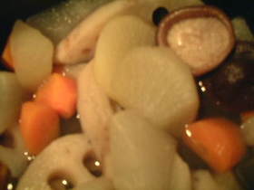 根菜の煮物