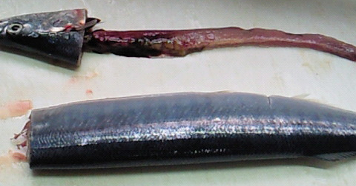 魚のエラ内蔵簡単取り調理器具 ぐるぐるとって S ずっと気になってた S