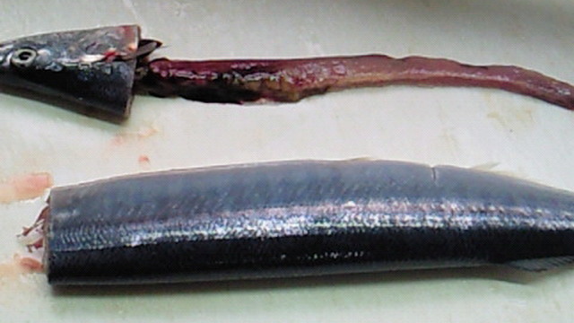 超簡単 きれい 魚の内臓の取り方 レシピ 作り方 By シュガーバニーズ クックパッド