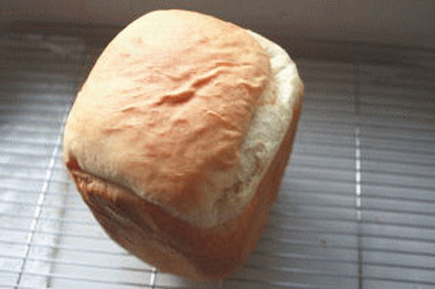 HB早焼きミルク食パンの写真