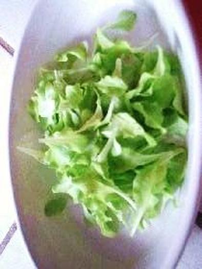 Baby Green Saladの写真