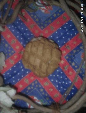 全粒粉黒糖メロンパンINおから