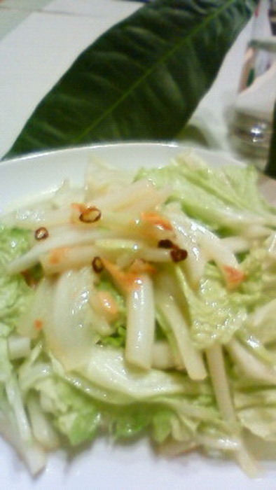 白菜ペペロンチーノサラダの写真