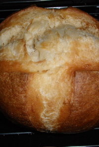 自家製酵母リッチ丸パン