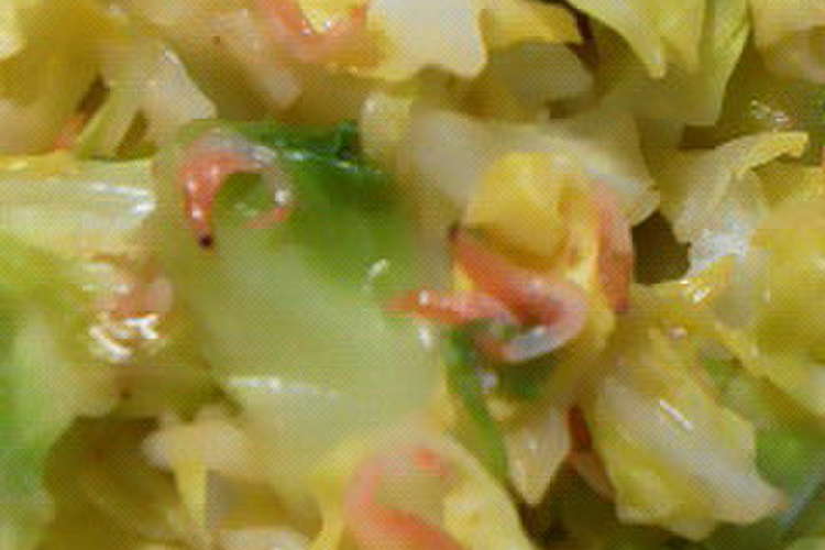 簡単春キャベツとオキアミ 小エビ炒め レシピ 作り方 By こちみ大好き クックパッド 簡単おいしいみんなのレシピが355万品